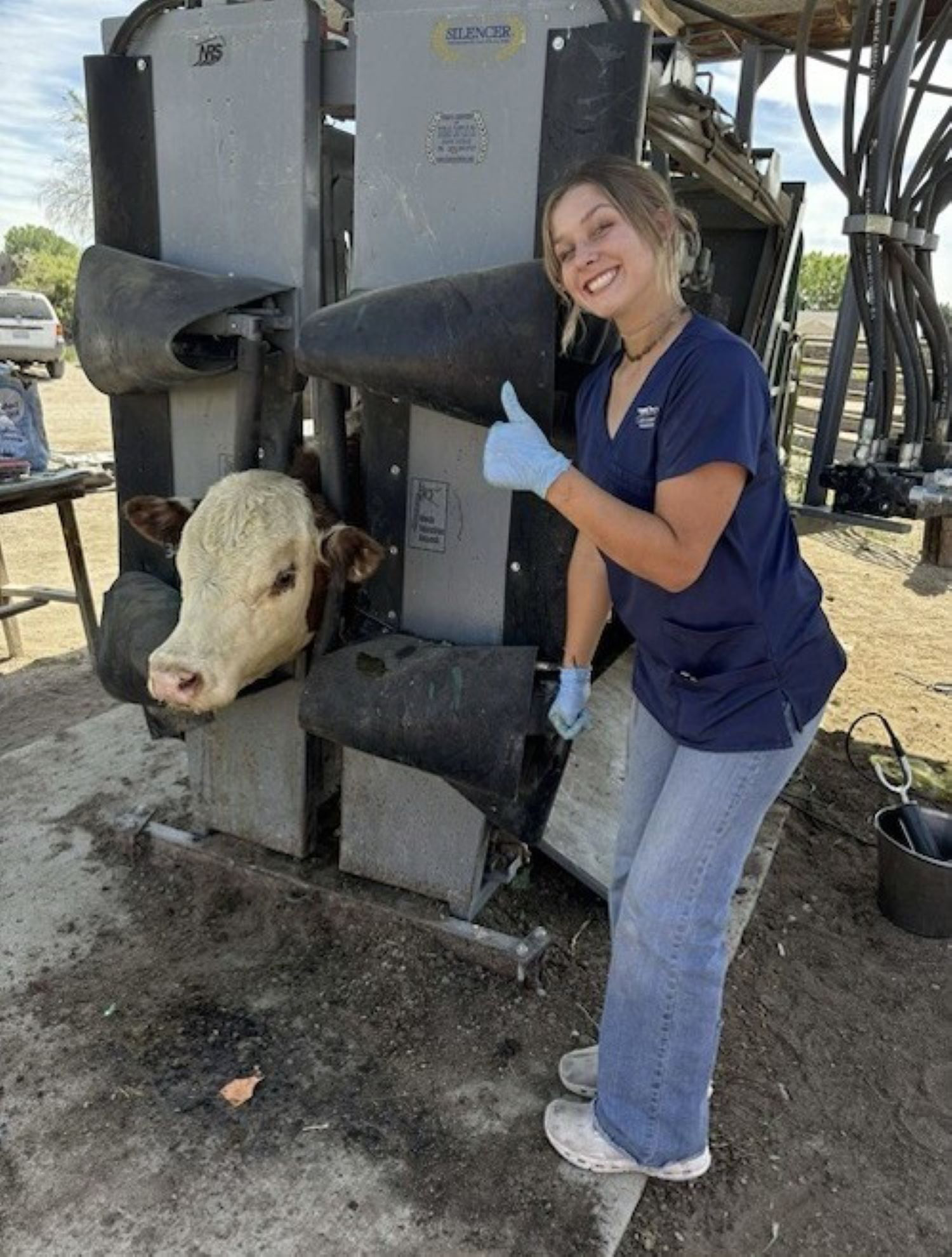 Cchs Student Intern Highlight